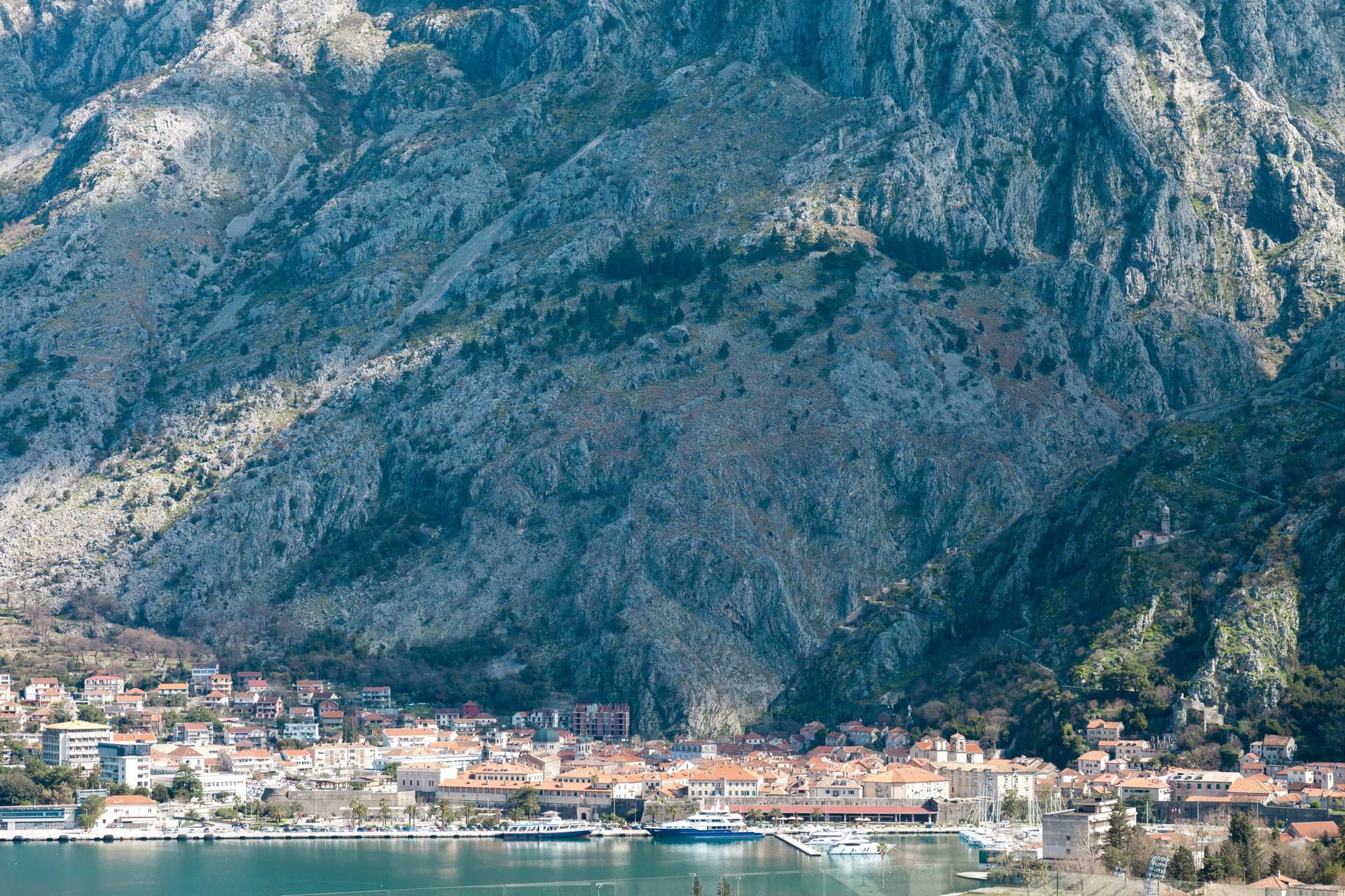 Квартира в Которе №2549