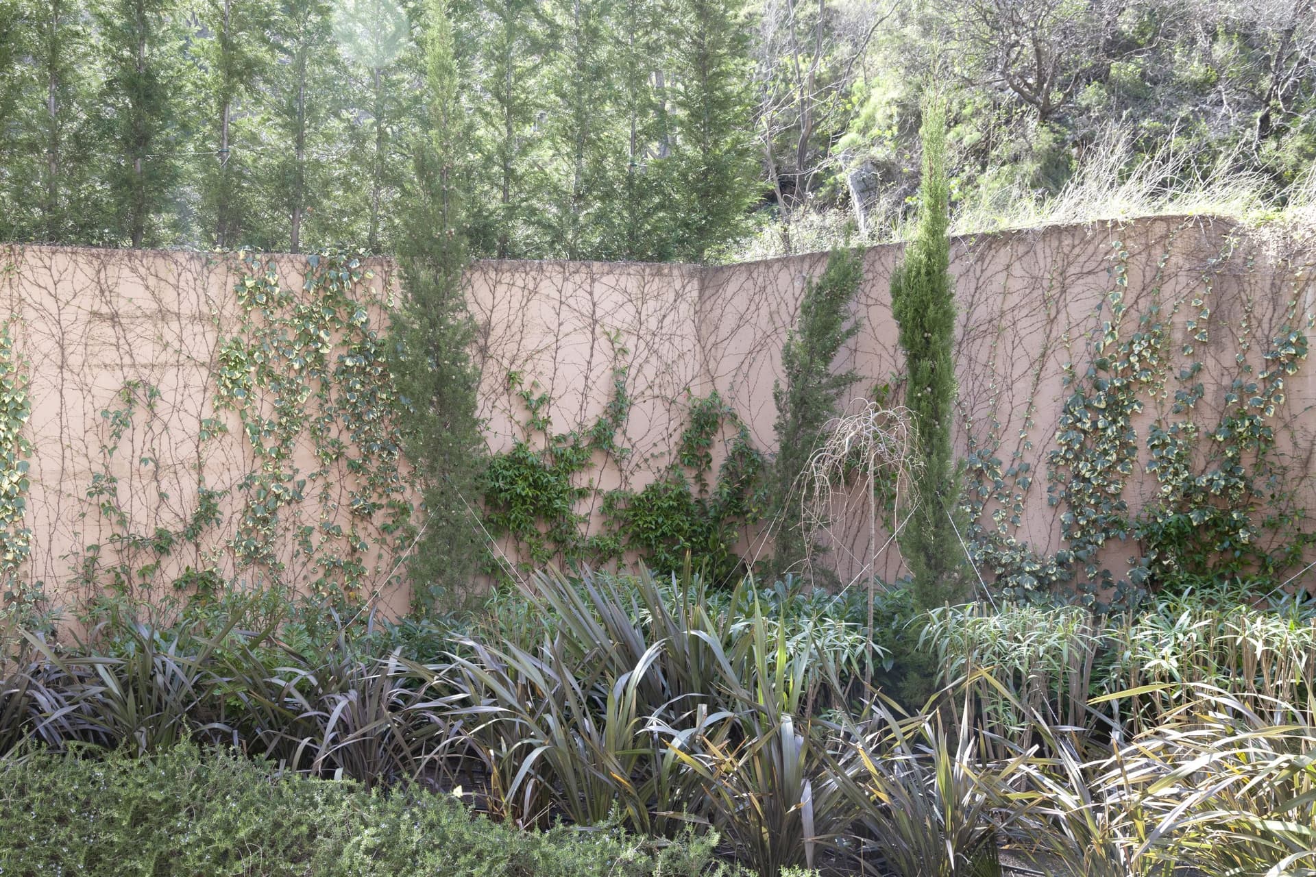 Квартира в Которе №2550